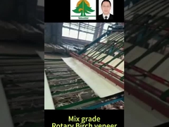 Tamanho total da chapa de beterraba rotativa Espessura 0,5 mm Tamanho 2600*1300 mm para mistura