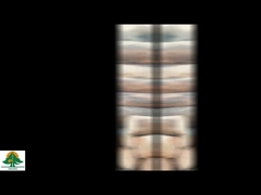 Folheado de madeira natural