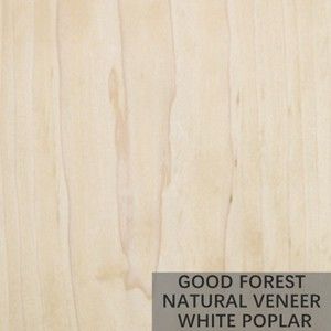 O folheado do álamo de Burl Wood Veneer Natural White da árvore cobre excelente
