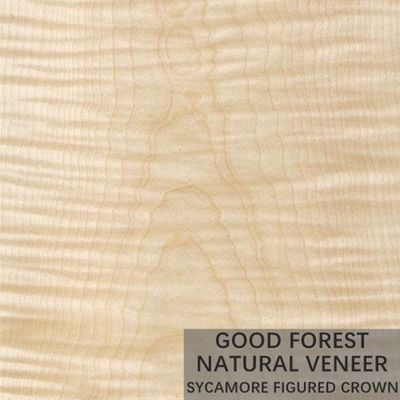 Sicômoro natural a madeira figurada folheia 0.3mm - 0.5mm para portas interiores