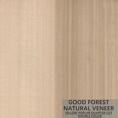 Cor dobro excelente de Mappa Tulip Natural Wood Veneer Boxwood