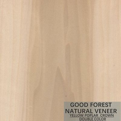 Cor dobro excelente de Mappa Tulip Natural Wood Veneer Boxwood