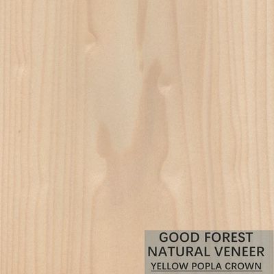 Cor dobro excelente de Mappa Tulip Natural Wood Veneer Boxwood