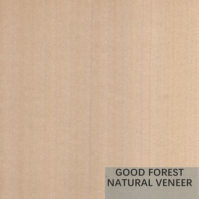 Cor dobro excelente de Mappa Tulip Natural Wood Veneer Boxwood