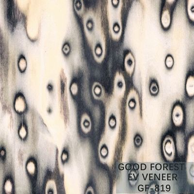 Tamanho de madeira projetado de Burl Wood Veneer EV 2500*640 milímetro da árvore do folheado