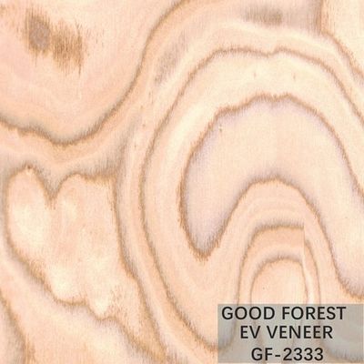 Tamanho de madeira projetado de Burl Wood Veneer EV 2500*640 milímetro da árvore do folheado