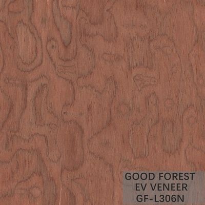 Tamanho de madeira projetado de Burl Wood Veneer EV 2500*640 milímetro da árvore do folheado