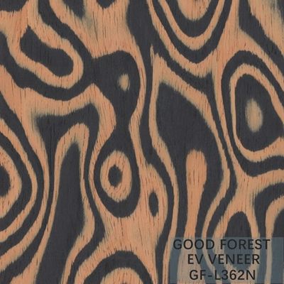Tamanho de madeira projetado de Burl Wood Veneer EV 2500*640 milímetro da árvore do folheado
