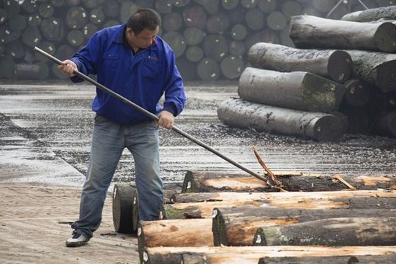 Folha de Veneer de Madeira Fantástica Santos de Madeira de Rosewood 2050-3200mm Para Instrumento Musical China Factory
