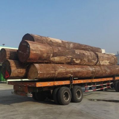 Ash Wood Veneer natural decorativo reconstituído com artesanatos Fineline - de uma grão X806