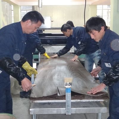 O abricó branco projetou a fatia de madeira do folheado H86C cortou técnicas para a coberta de parede