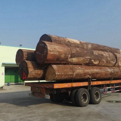 A fatia reconstituída do folheado H671s da madeira da noz preta cortou preço da grão vertical das técnicas o bom da fábrica de China para a porta