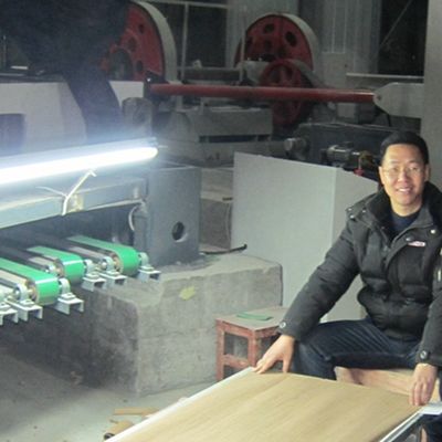 Veneer de madeira chinês de cinza feito pelo homem Dimensão alongada 3100mm Pode ser personalizado para decoração China faz
