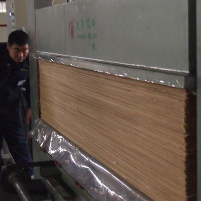 0.45mm Engenharia Madeira Veneer Folha de Perla Negra BP-X8003 Grão Direito Para Parede Painel Face