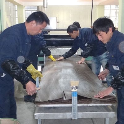 Veneer de madeira chinês de cinza feito pelo homem Dimensão alongada 3100mm Pode ser personalizado para decoração China faz