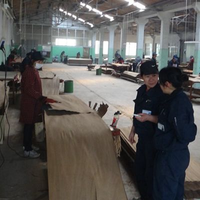 Veneer de madeira chinês de cinza feito pelo homem Dimensão alongada 3100mm Pode ser personalizado para decoração China faz