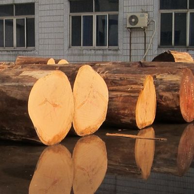 Veneer de madeira de noz americana reconstituída 0,15-0,60 mm Serviço personalizado Quarta linha fina de corte para decoração