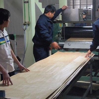 Chapa de Madeira Engenheirada 3D - Ecológica, Baixo Formaldeído 2500*640mm para Decoração de Interiores 3DZM-L3.0