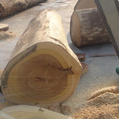 Fumo Sapele Pommele Engenharia Carvalho Veneer Espessura 0,18-0,6 mm Para painel de parede