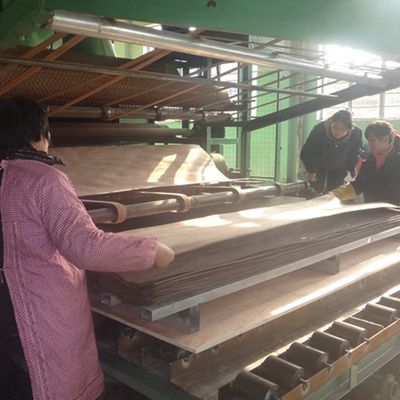 3D Recon Wood Veneer 3DZM-L5.0 para gabinete Face Interior Wall Wood Veneer 0.5mm Dimensões e texturas personalizadas