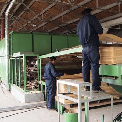 High-End Engenharia Madeira Veneer Walnut WT-X643 Quarter Cut 3100 Dimensões alongadas para o fabricante de armário