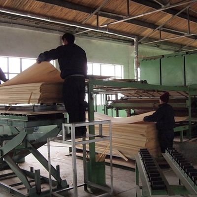Fabricação especial de chapa de madeira de raiz preta e branca 3N para decoração 3100mm
