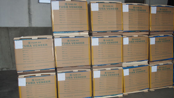 Folheado de madeira de nogueira engenheirada, cor prata, grão de linha fina reta para face de porta e armário WT-H5336