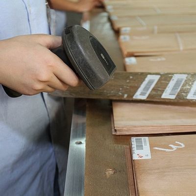 Madeira maciça folhas de olmo americano grau A para o quarto de corte coroa grão cor natural para porta rosto 3200mm para cima