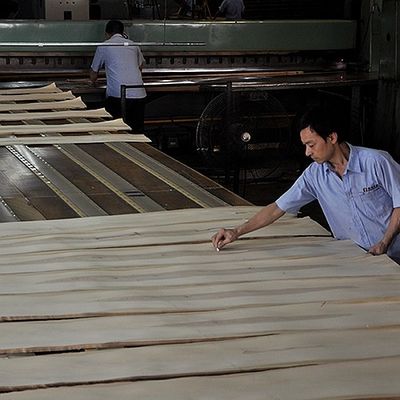 Folha de madeira sólida de carvalho branco americano cortada para o painel sofisticado e revestimento tingido espessura 0,45 mm