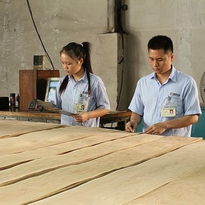 A madeira natural da noz da decoração folheia a mobília excelente de Burl Grain For High Class que faz o fabricante do FSC China