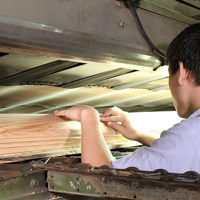 espessura Tamo Ash Veneer For Car Interior natural de 0.5mm e instrumento musical