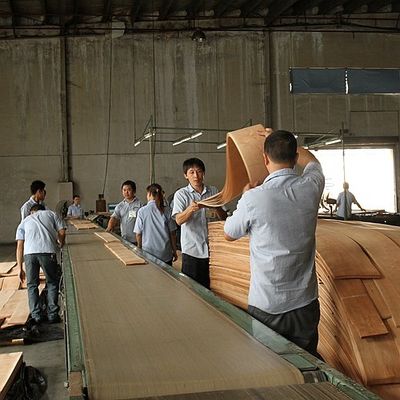 Incomum Madeira de Ceniça Branca Natural Veneer Burl Oliveira Grau AA Para parede Cobertura espessura 0,5 mm