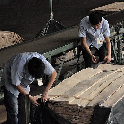 A madeira de mogno natural traseira tosada folheia o gancho especial de 0.5mm para a decoração do hotel