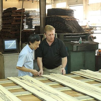 Madeira maciça folhas de olmo americano grau A para o quarto de corte coroa grão cor natural para porta rosto 3200mm para cima