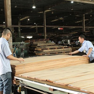 Madeira maciça folhas de olmo americano grau A para o quarto de corte coroa grão cor natural para porta rosto 3200mm para cima
