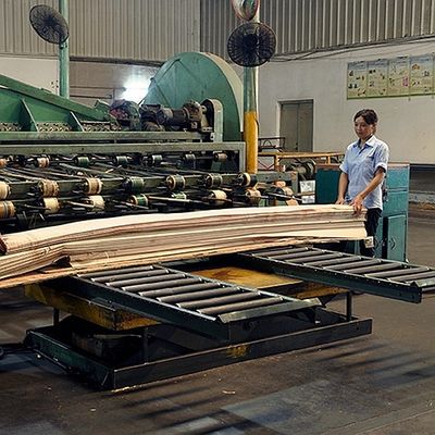 O quarto natural do folheado da madeira do Koto de África cortou a grão que reta a boa qualidade para o processo de tingidura pode ser personalizada