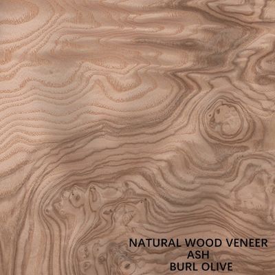 Incomum Madeira de Ceniça Branca Natural Veneer Burl Oliveira Grau AA Para parede Cobertura espessura 0,5 mm