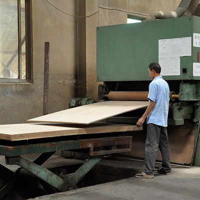 MDF de Tulip Plywood Based/placa bicolores extravagantes do cartão/partícula para o painel da mobília