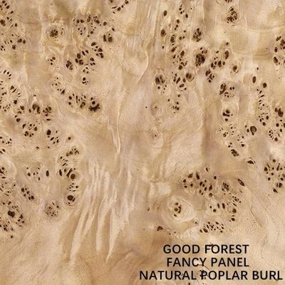 O painel extravagante enfrentou a fonte alongada 2440/2745mm branca natural de China do tamanho da decoração de Burl Wood Veneer For Hotel do álamo