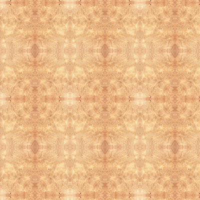 O bordo extravagante Burl Plywood/Mdf/placa de partícula 2440/2745mm para portas interiores classifica o fabricante E0/E1/P1/P2