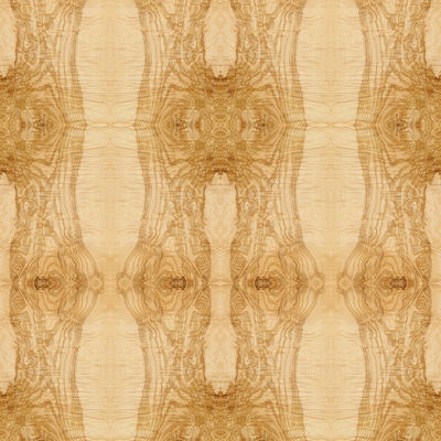 Fantasia alongada Ash Burl Oliver Wood Veneer Book Match natural do tamanho que emenda para o ISO da decoração do hotel