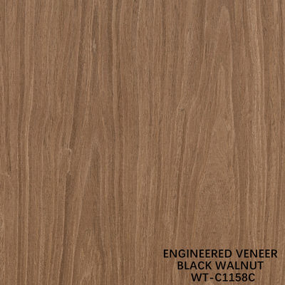 Reconstituído Madeira Veneer Walnut Flat Cut Crown Grain 0.15-0.6mm Marrom Para Porta