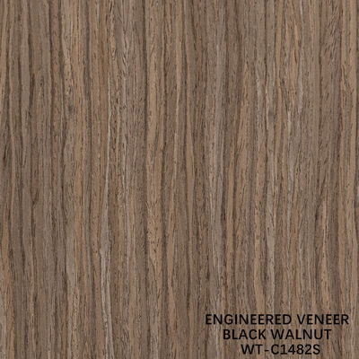3100mm Dimensão alongada Madeira de nozes Veneer Quarta Corte de grão reto Para pele de porta