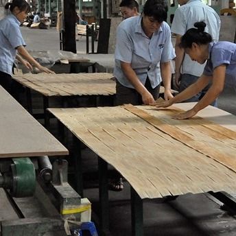 Novo Design de Folheado de Madeira de Eucalipto Fumê Recomposto Chique SWE-L343C/L439C 2500*640mm Para Design de Porta de Madeira