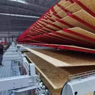 Radiata Pine Oriented Strand Board Osb4 2440*1220*18mm Pode ser personalizado para painel de parede e teto externo