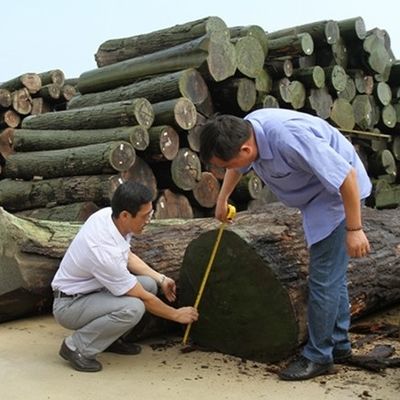 Sapele de prata Pommele Veneer de madeira de engenharia personalizado para o rosto do gabinete
