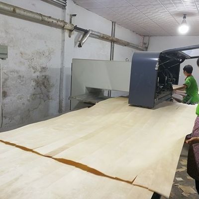 High-End Recon Wood Veneer Natural Walnut Wt-X873n 2850mm comprimento para folha de decoração de porta China Factory