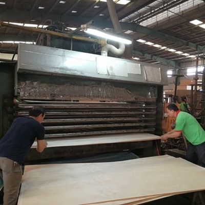 High-End Recon Wood Veneer Natural Walnut Wt-X873n 2850mm comprimento para folha de decoração de porta China Factory