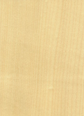 Adicionar elegância ao espaço painéis de folheado de bordo sombras floculantes manifestações de textura