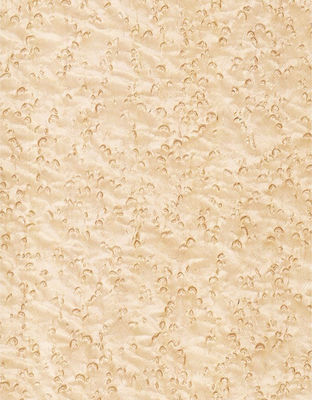 Adicionar elegância ao espaço painéis de folheado de bordo sombras floculantes manifestações de textura